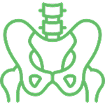 Bone Icon
